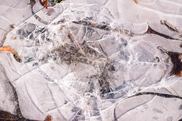 2016.12.27 Brookside Park