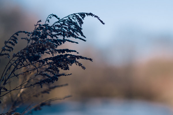 2016.12.27 Brookside Park