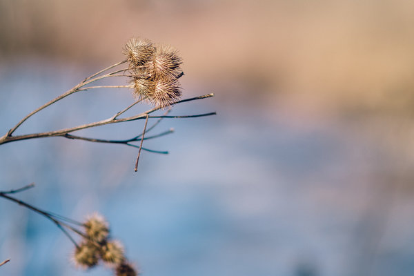 2016.12.27 Brookside Park