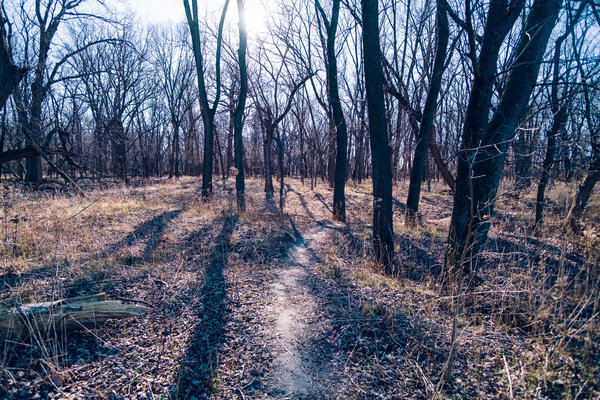 2016.12.27 Brookside Park