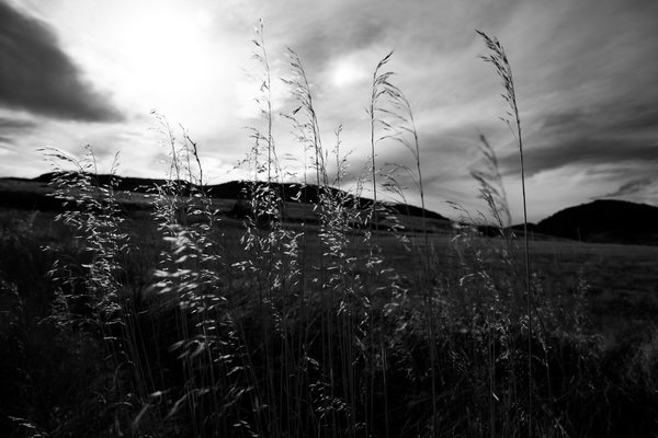2017.02.18 Hildebrand Ranch Hike