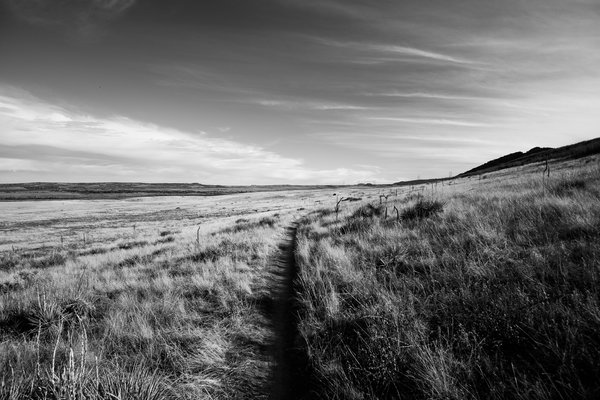 2017.02.18 Hildebrand Ranch Hike