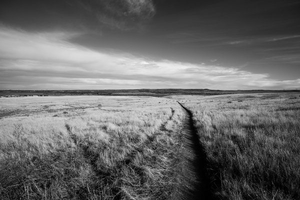 2017.02.18 Hildebrand Ranch Hike