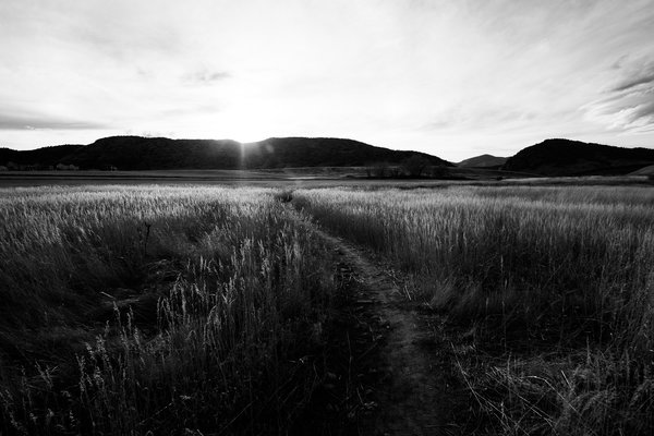 2017.02.18 Hildebrand Ranch Hike