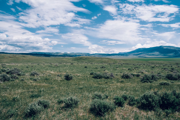 2017.05.16 Bowler Flats, Montana