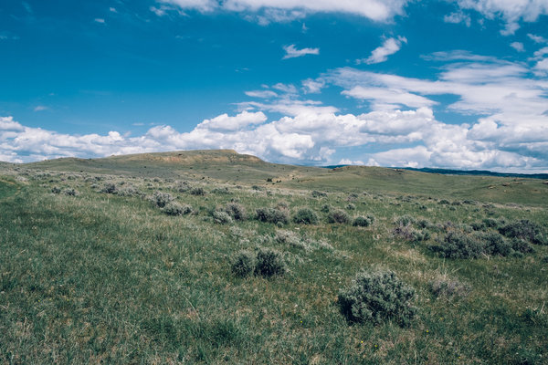 2017.05.16 Bowler Flats, Montana