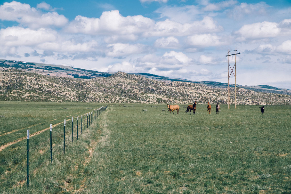 2017.05.16 Bowler Flats, Montana