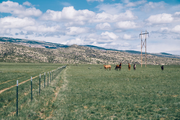 2017.05.16 Bowler Flats, Montana