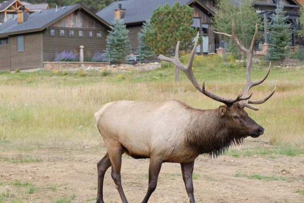 2017.09 Rocky Mountain National Park