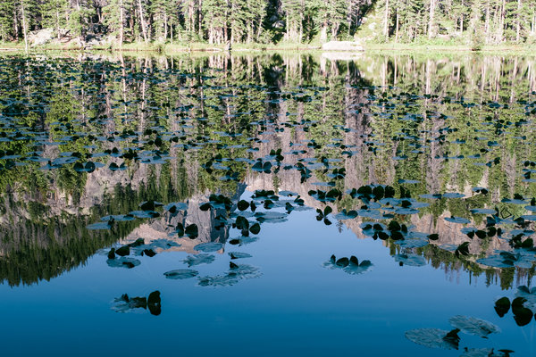 2017.09 Rocky Mountain National Park