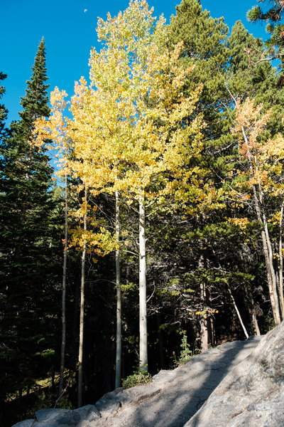 2017.09 Rocky Mountain National Park