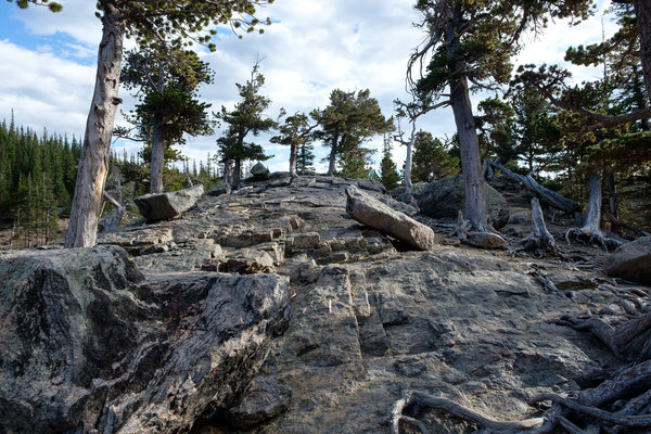 2017.09 Rocky Mountain National Park