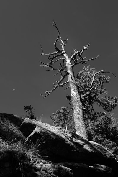 2017.09 Rocky Mountain National Park