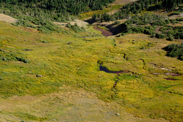 2017.09 Rocky Mountain National Park