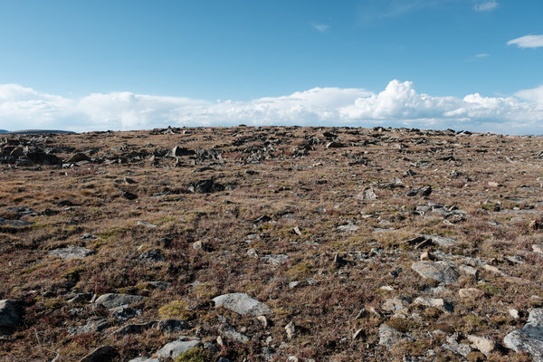 2017.09 Rocky Mountain National Park