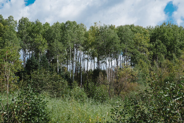 2018.09.26 Jay Cooke State Park and Duluth