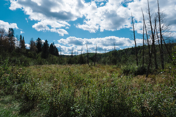 2018.09.26 Jay Cooke State Park and Duluth