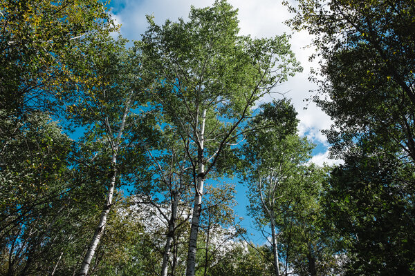 2018.09.26 Jay Cooke State Park and Duluth