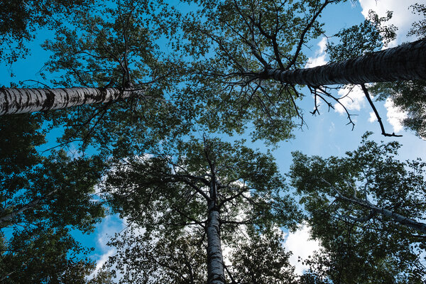 2018.09.26 Jay Cooke State Park and Duluth