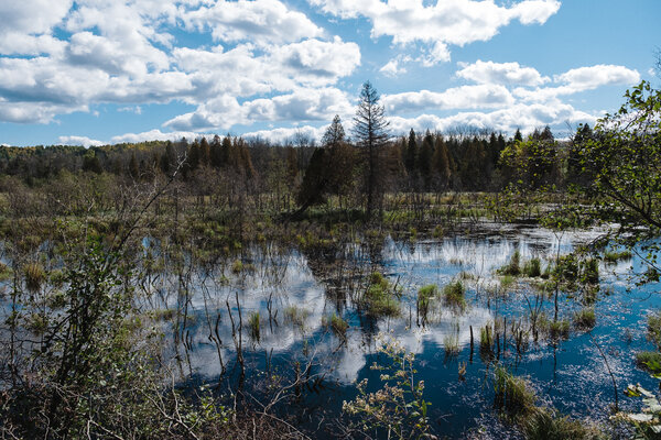 2018.09.26 Jay Cooke State Park and Duluth