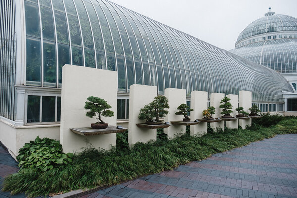 2018.09.27 Como Park Zoo and Minneapolis Sculpture Garden