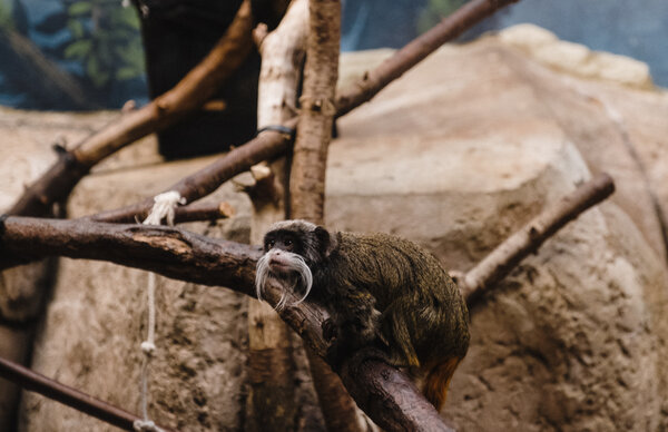 2018.09.27 Como Park Zoo and Minneapolis Sculpture Garden