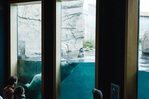 2018.09.27 Como Park Zoo and Minneapolis Sculpture Garden