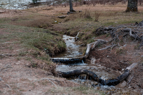 2018.11 Thanksgiving Camping