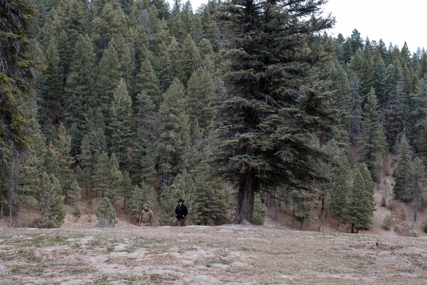 2018.11 Thanksgiving Camping