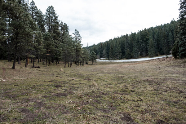 2018.11 Thanksgiving Camping