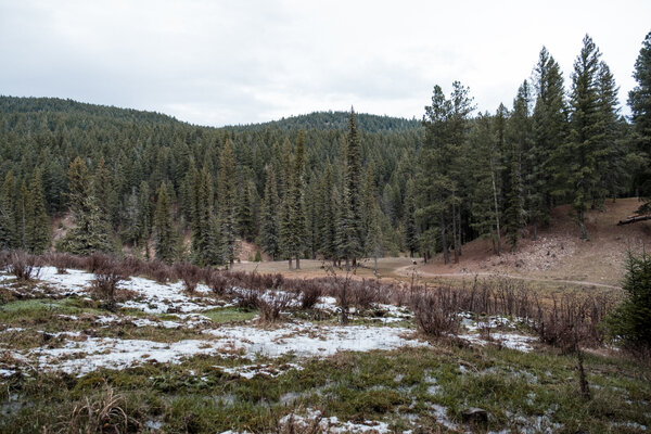 2018.11 Thanksgiving Camping