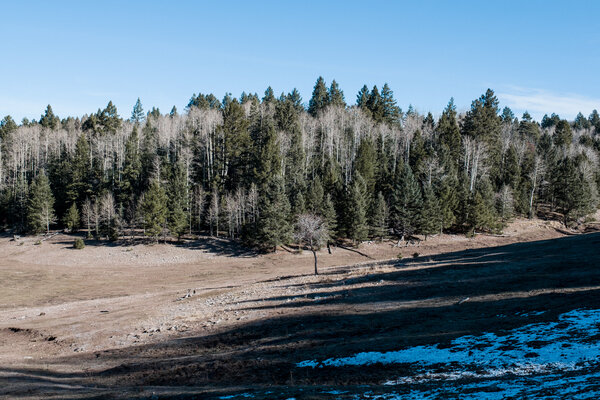 2018.11 Thanksgiving Camping