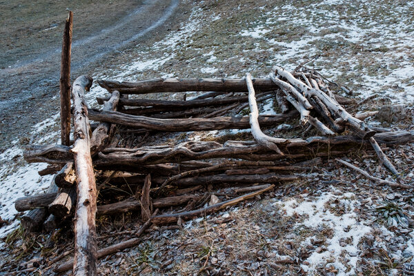 2018.11 Thanksgiving Camping