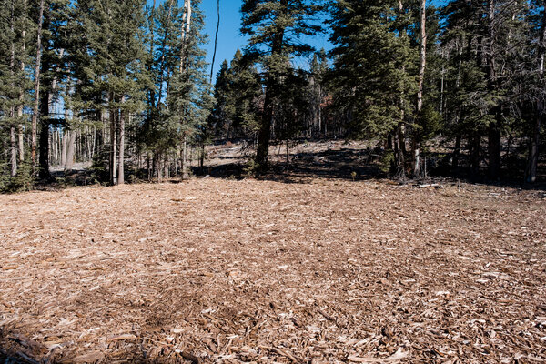 2018.11 Thanksgiving Camping