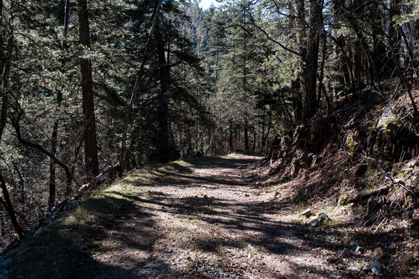 2018.11 Thanksgiving Camping