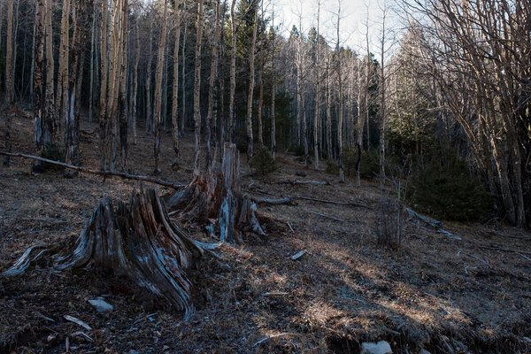 2018.11 Thanksgiving Camping