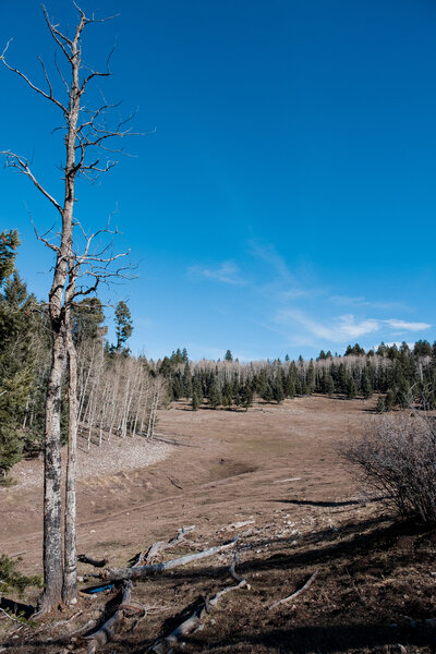 2018.11 Thanksgiving Camping