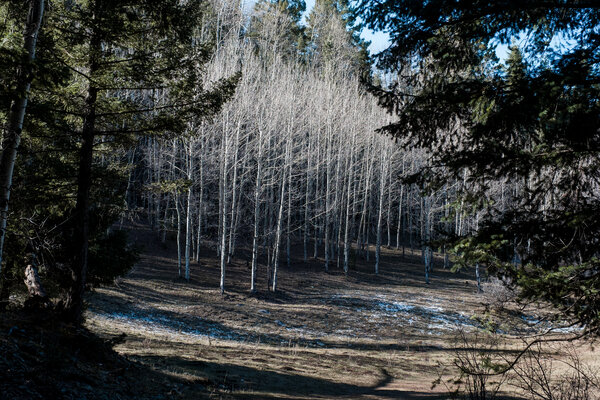 2018.11 Thanksgiving Camping