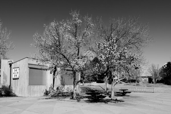 2019.03.09 Cherry Creek Park