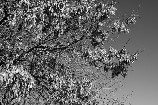 2019.03.09 Cherry Creek Park