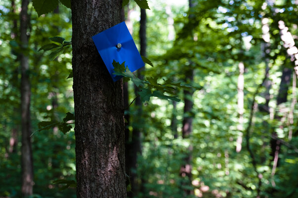 2019.06.02 Weston Bend State Park