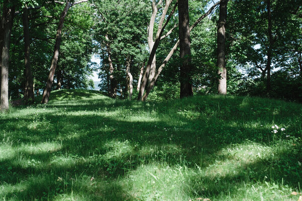 2019.06 Mississippi River Camping Trip