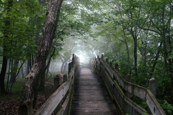 2019.06 Mississippi River Camping Trip