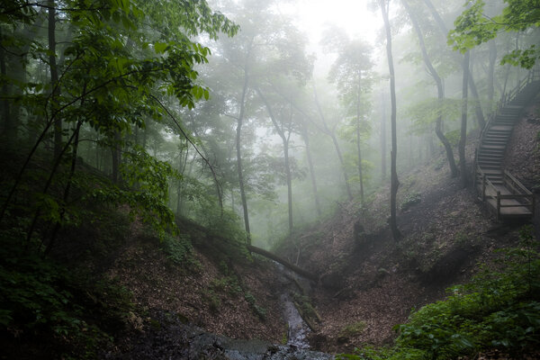 2019.06 Mississippi River Camping Trip