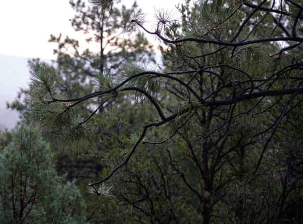 2019.08 Pecos Area Hiking