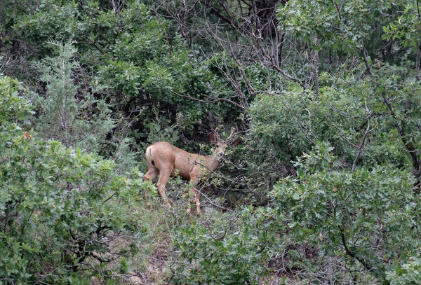 2019.08 Pecos Area Hiking