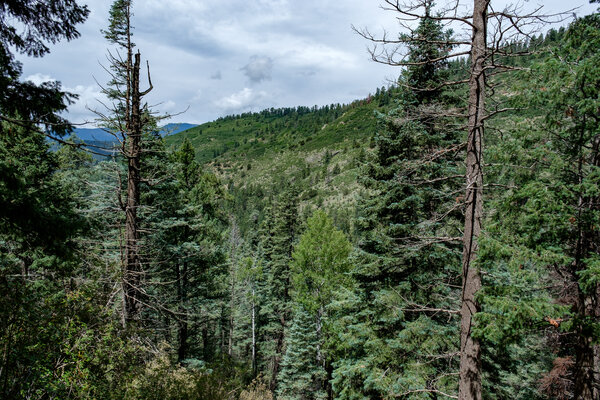 2019.08 Pecos Area Hiking