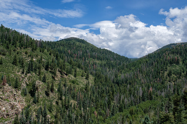 2019.08 Pecos Area Hiking