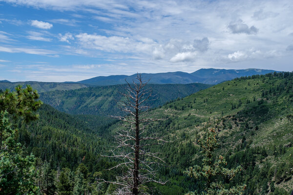 2019.08 Pecos Area Hiking