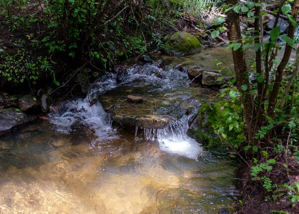 2019.08 Pecos Area Hiking